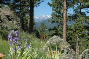 genesee_backyard_500