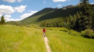 2_GoldenGatePark3_YannRopars_0