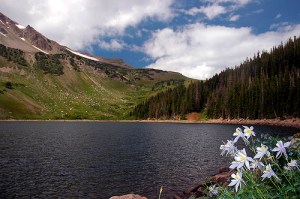 988214635_45a852905b