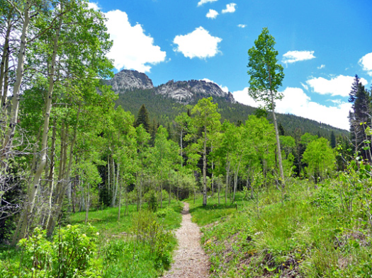 Screen Shot 2016-03-16 at 8.55.40 PM